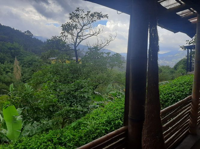 Finca en Arriendo en San jose, Sabaneta - Miniatura 8