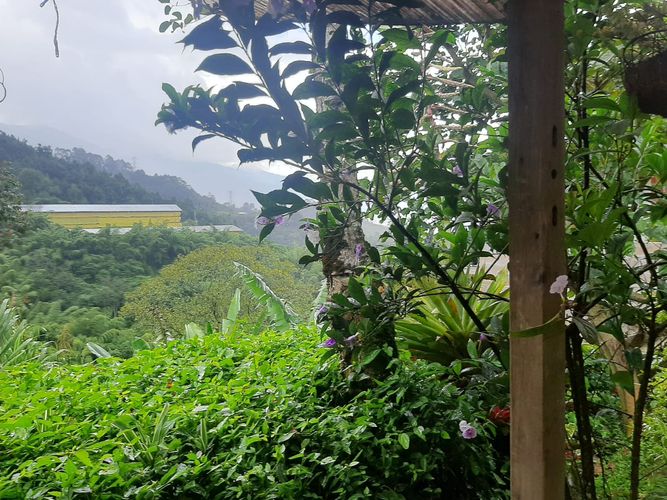 Finca en Arriendo en San jose, Sabaneta - Miniatura 12