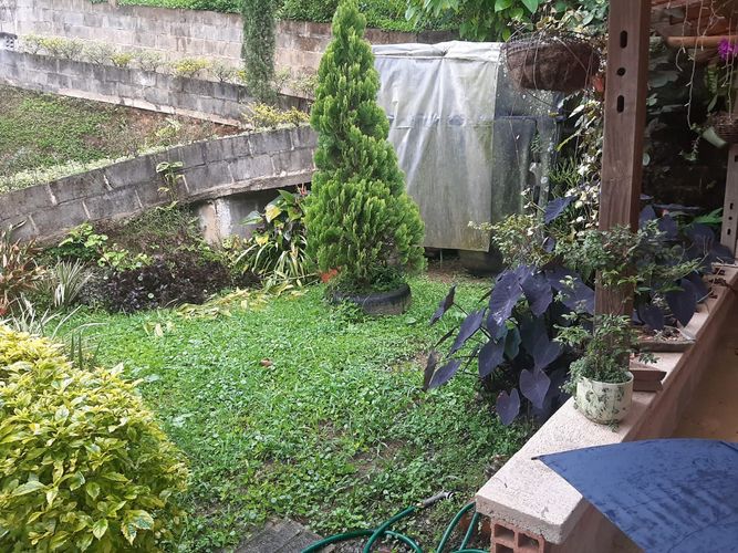 Finca en Arriendo en San jose, Sabaneta - Miniatura 15
