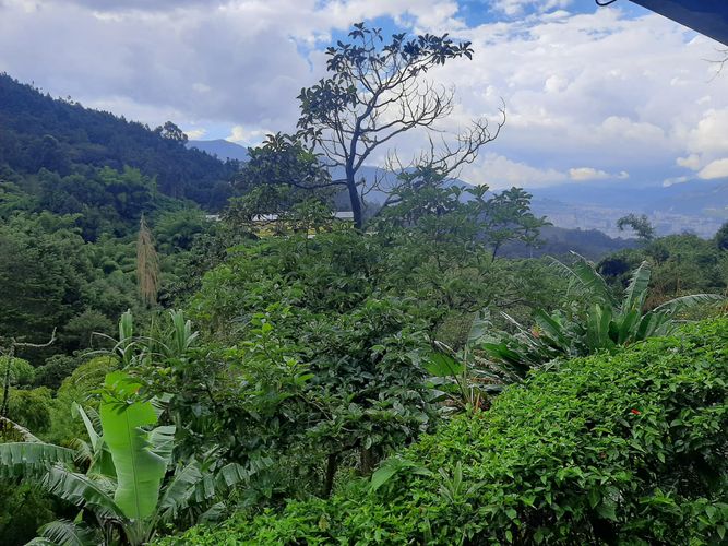 Finca en Arriendo en San jose, Sabaneta - Miniatura 16