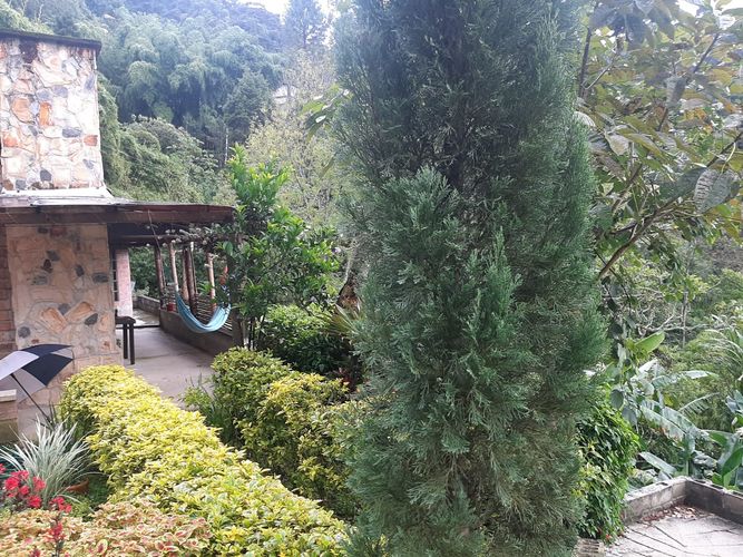 Finca en Arriendo en San jose, Sabaneta - Miniatura 17