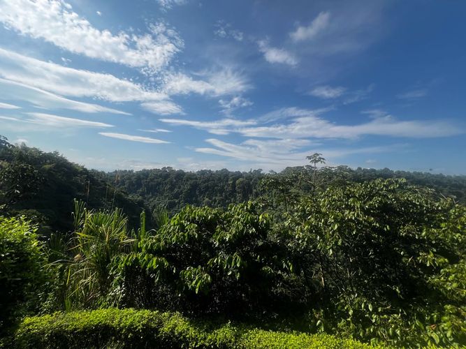 Apartamento en  Venta en Los alamos, Pereira - Miniatura 2