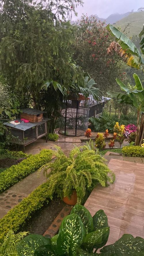 Finca en Venta en San pedro, Cali - Miniatura 4