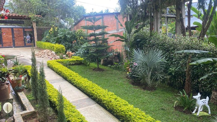 Finca en Venta en San pedro, Cali - Miniatura 9