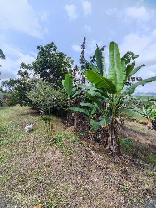Finca en Venta en La cumbre - Miniatura 6