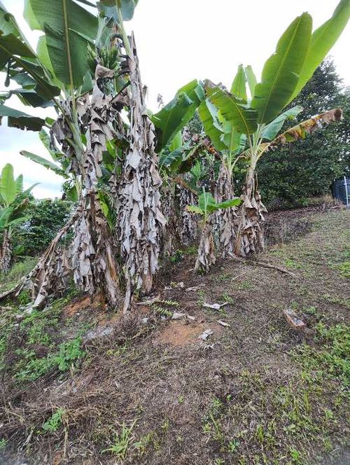 Finca en Venta en La cumbre - Miniatura 7