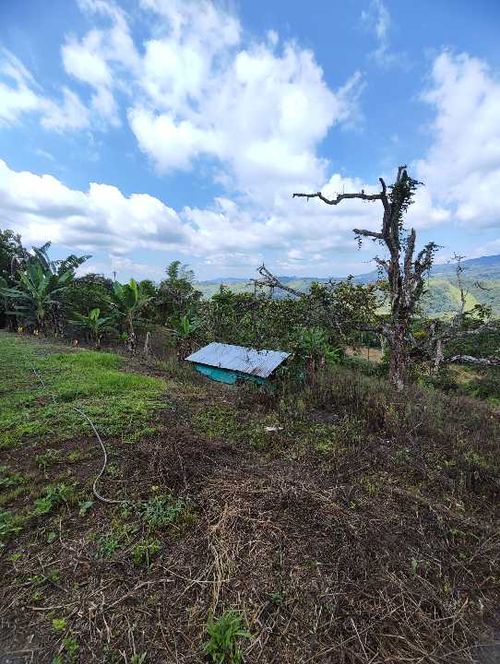 Finca en Venta en La cumbre - Miniatura 8