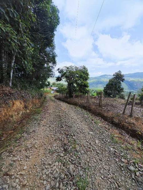 Finca en Venta en La cumbre - Miniatura 9