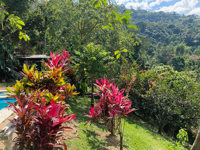 Finca en  Venta en La vega - Miniatura 8
