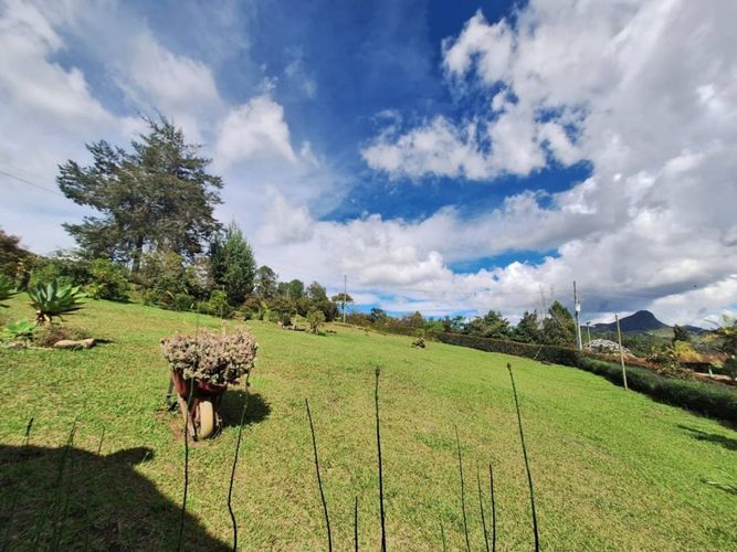 Finca en Arriendo en El portento, El Retiro - Miniatura 10