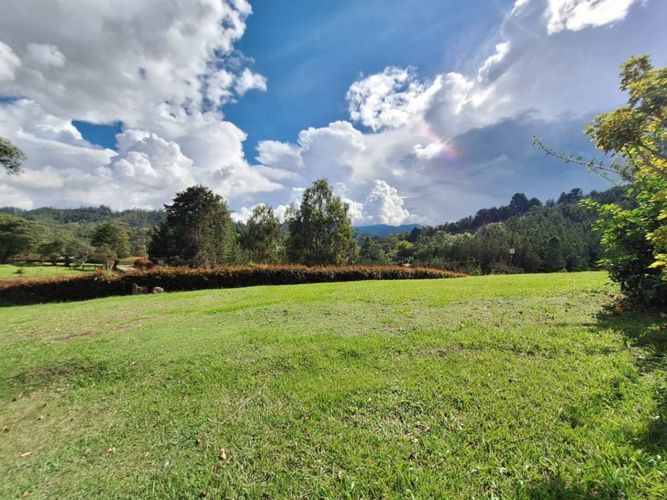 Finca en Arriendo en El portento, El Retiro - Miniatura 11