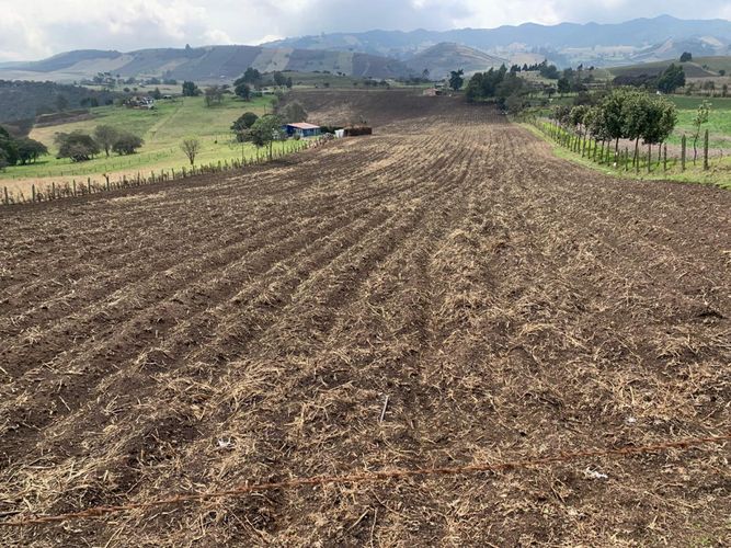 Finca en Venta en Villapinzon - Imagen 1