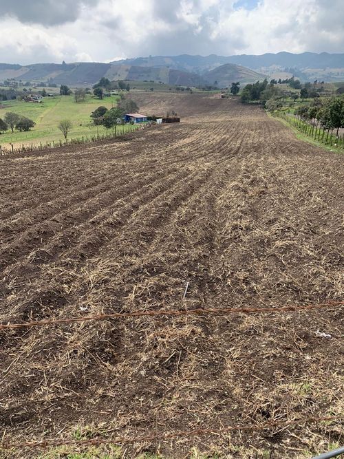 Finca en Venta en Villapinzon - Miniatura 3