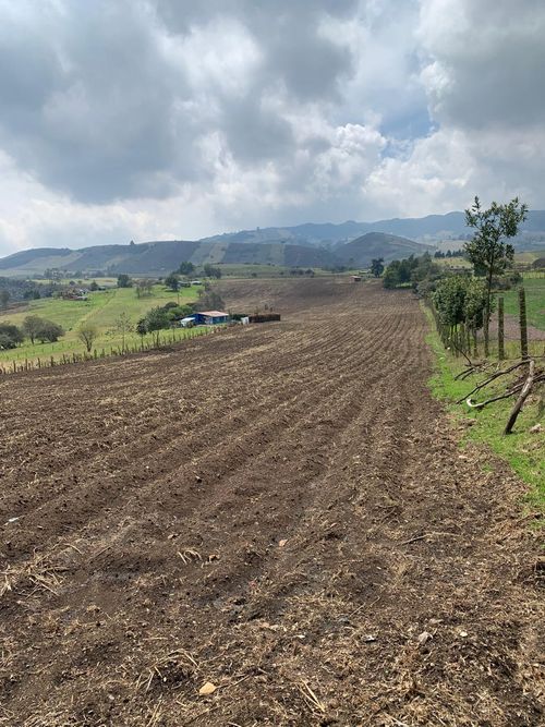 Finca en Venta en Villapinzon - Miniatura 4