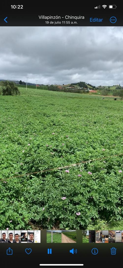 Finca en Venta en Villapinzon - Miniatura 15
