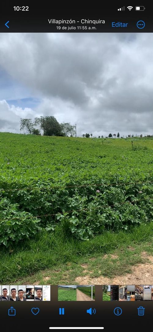 Finca en Venta en Villapinzon - Miniatura 16