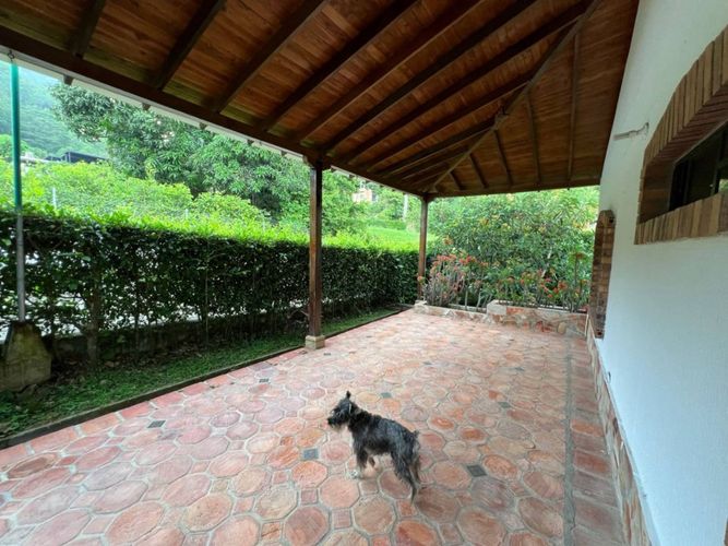 Casa en  Arriendo en Floridablanca - Miniatura 10