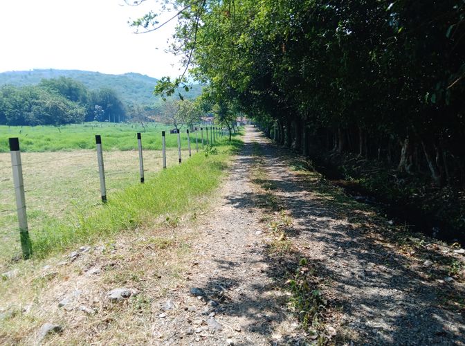 Finca en Venta en Pradera - Miniatura 5