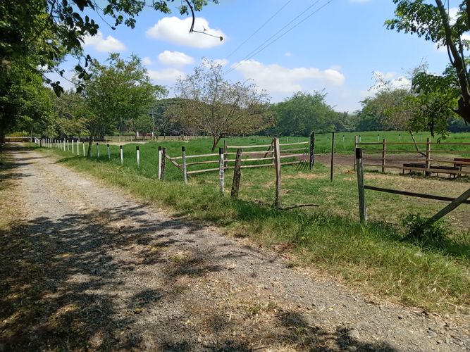 Finca en Venta en Pradera - Miniatura 7