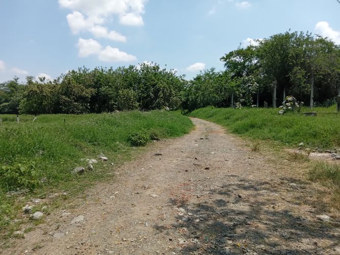 Finca en Venta en Pradera - Miniatura 8