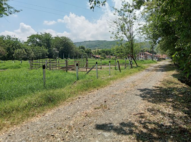 Finca en Venta en Pradera - Miniatura 16