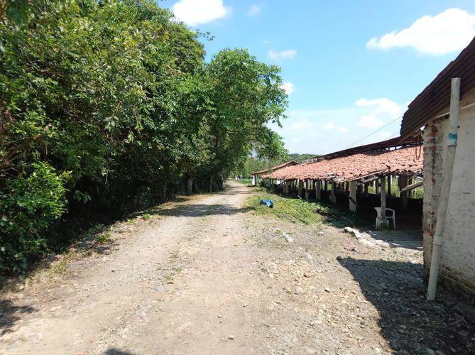 Finca en Venta en Pradera - Miniatura 19