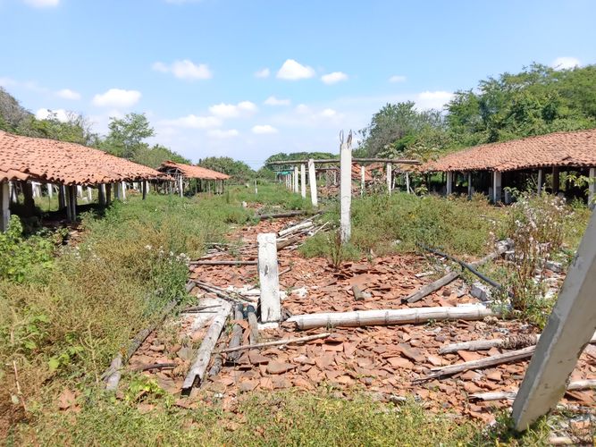 Finca en Venta en Pradera - Miniatura 21
