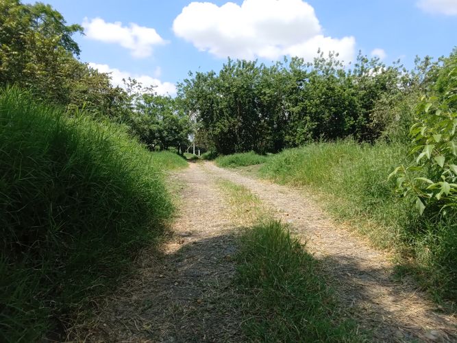 Finca en Venta en Pradera - Miniatura 26