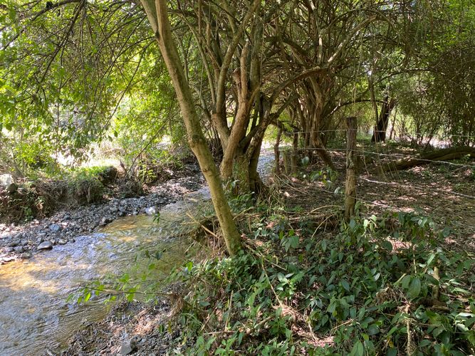 Finca en Venta en Pradera - Miniatura 27