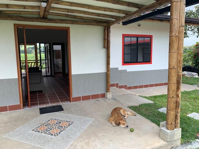 Finca en  Venta en Filandia - Miniatura 5