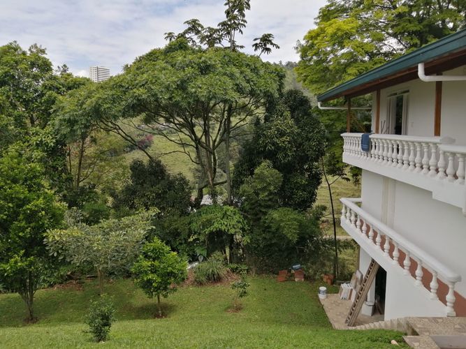 Finca en arriendo en Aves Maria, Sabaneta - Miniatura 8