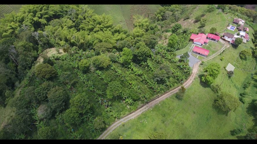 Finca en  Venta en Filandia - Miniatura 4