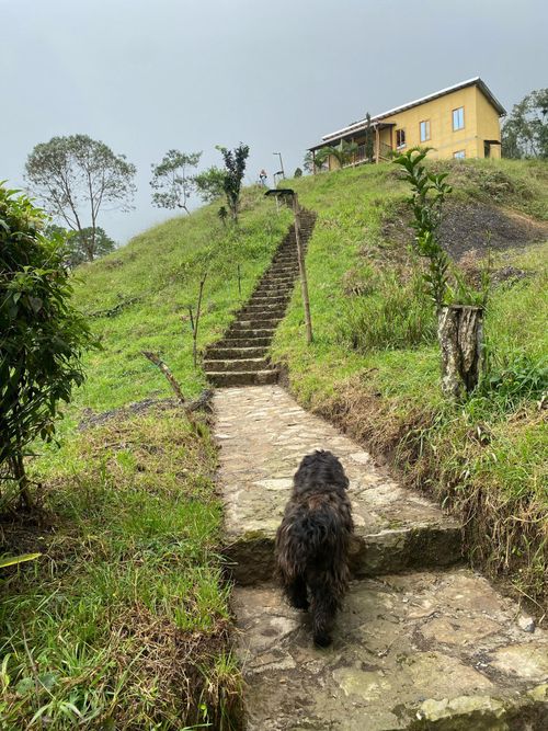 Finca en Venta en Guane, Sasaima - Miniatura 3