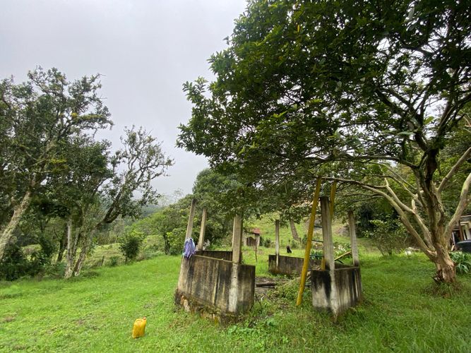 Finca en Venta en Guane, Sasaima - Miniatura 16