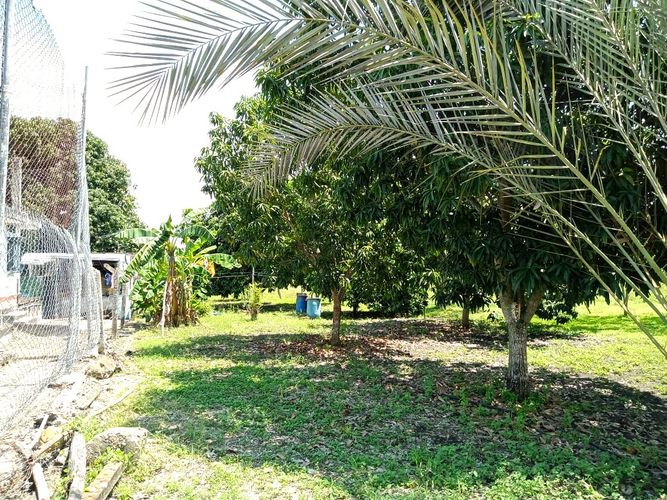 Finca en Venta en Tocaima - Miniatura 8