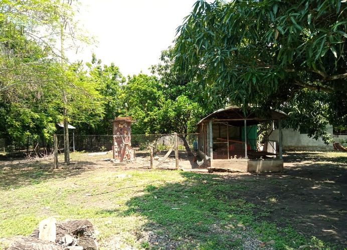 Finca en Venta en Tocaima - Miniatura 9