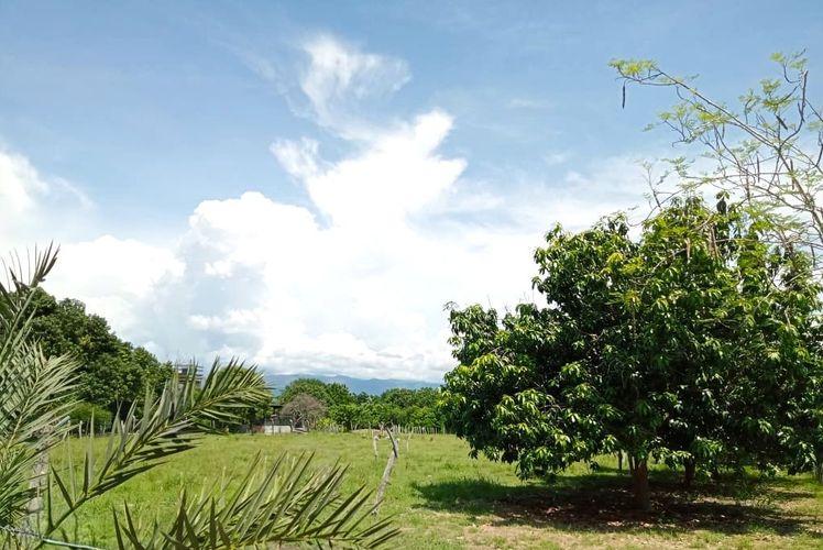 Finca en Venta en Tocaima - Miniatura 10