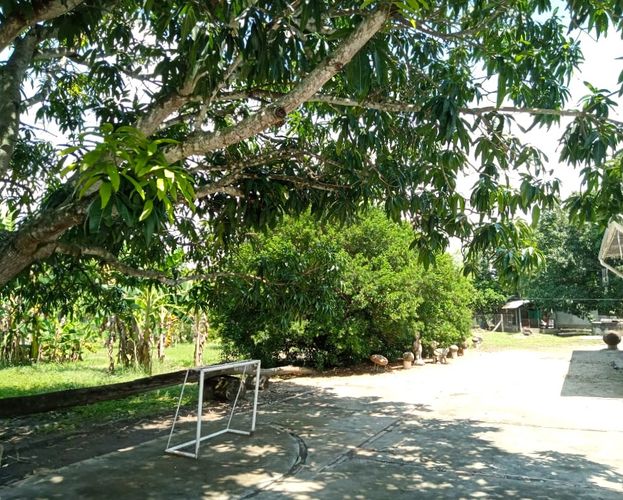 Finca en Venta en Tocaima - Miniatura 11