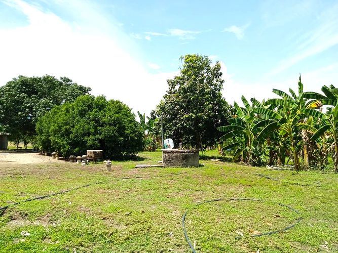 Finca en Venta en Tocaima - Miniatura 12
