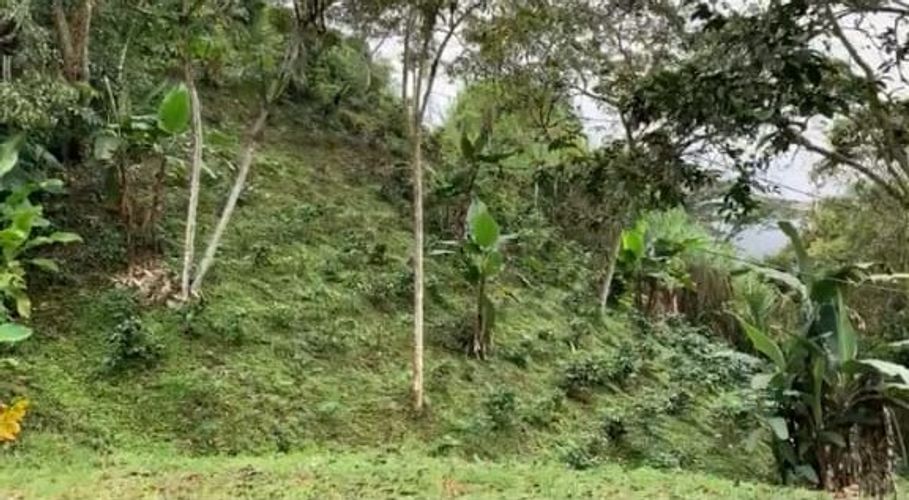 Finca en Venta en Tocaima - Miniatura 13