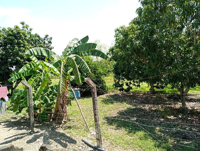 Finca en Venta en Tocaima - Miniatura 14