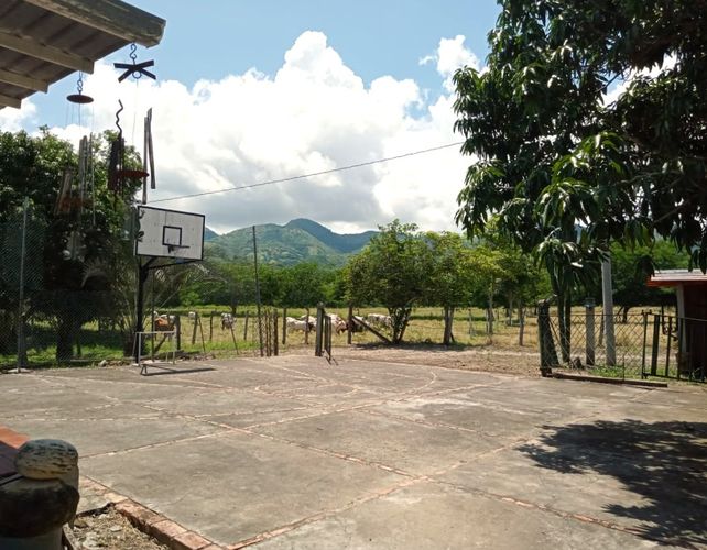 Finca en Venta en Tocaima - Miniatura 16
