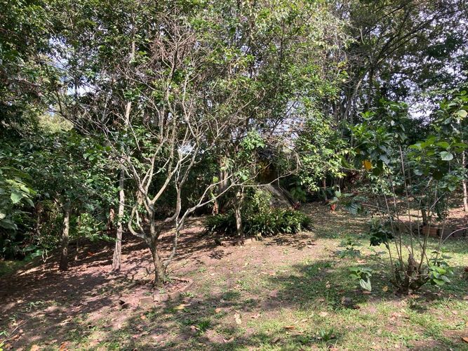 Finca en Venta en Fusagasugá - Miniatura 2