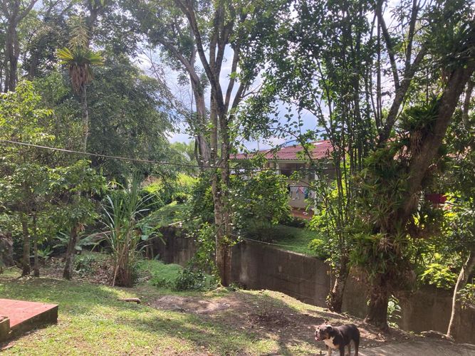 Finca en Venta en Fusagasugá - Miniatura 5