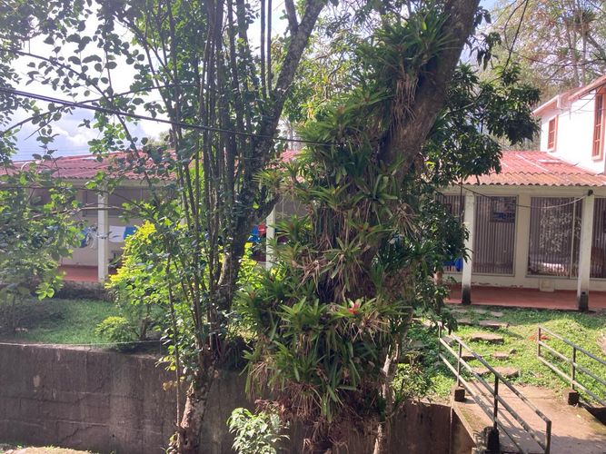Finca en Venta en Fusagasugá - Miniatura 9
