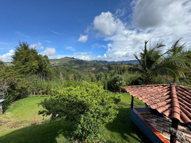Finca en Arriendo en Alto grande, El carmen de viboral - Miniatura 13