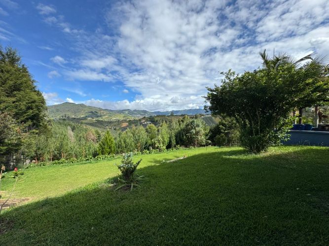 Finca en Arriendo en Alto grande, El carmen de viboral - Miniatura 21