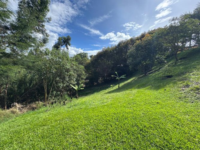 Finca en Arriendo en Alto grande, El carmen de viboral - Miniatura 22