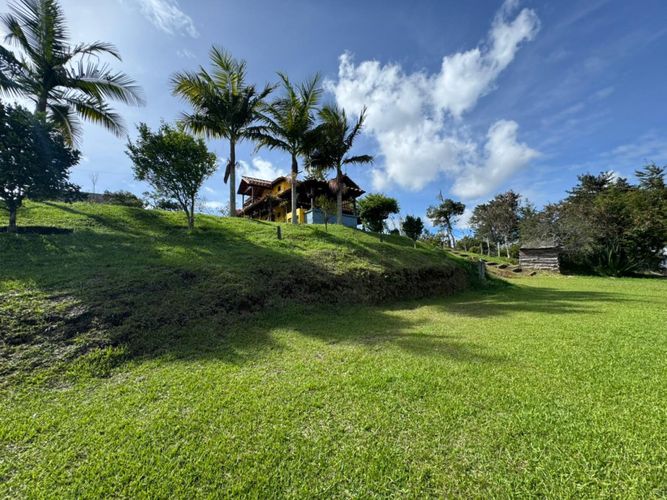 Finca en Arriendo en Alto grande, El carmen de viboral - Miniatura 23