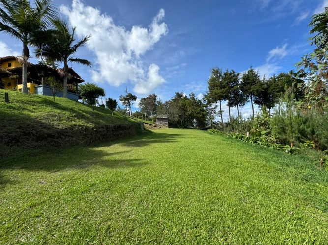 Finca en Arriendo en Alto grande, El carmen de viboral - Miniatura 24